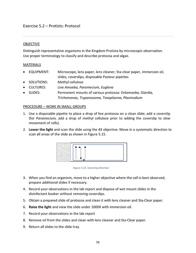 Microbiology - Module 5 Introduction - Page 79
